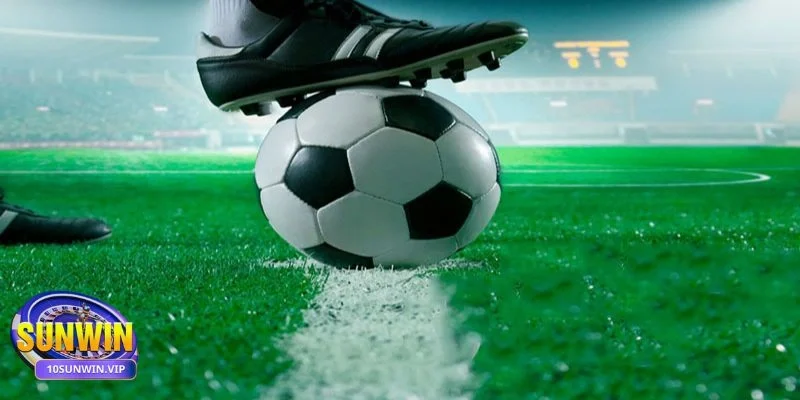 Kinh nghiệm cược thể thao Sunwin Lời khuyên của các chuyên gia cá cược thể thao